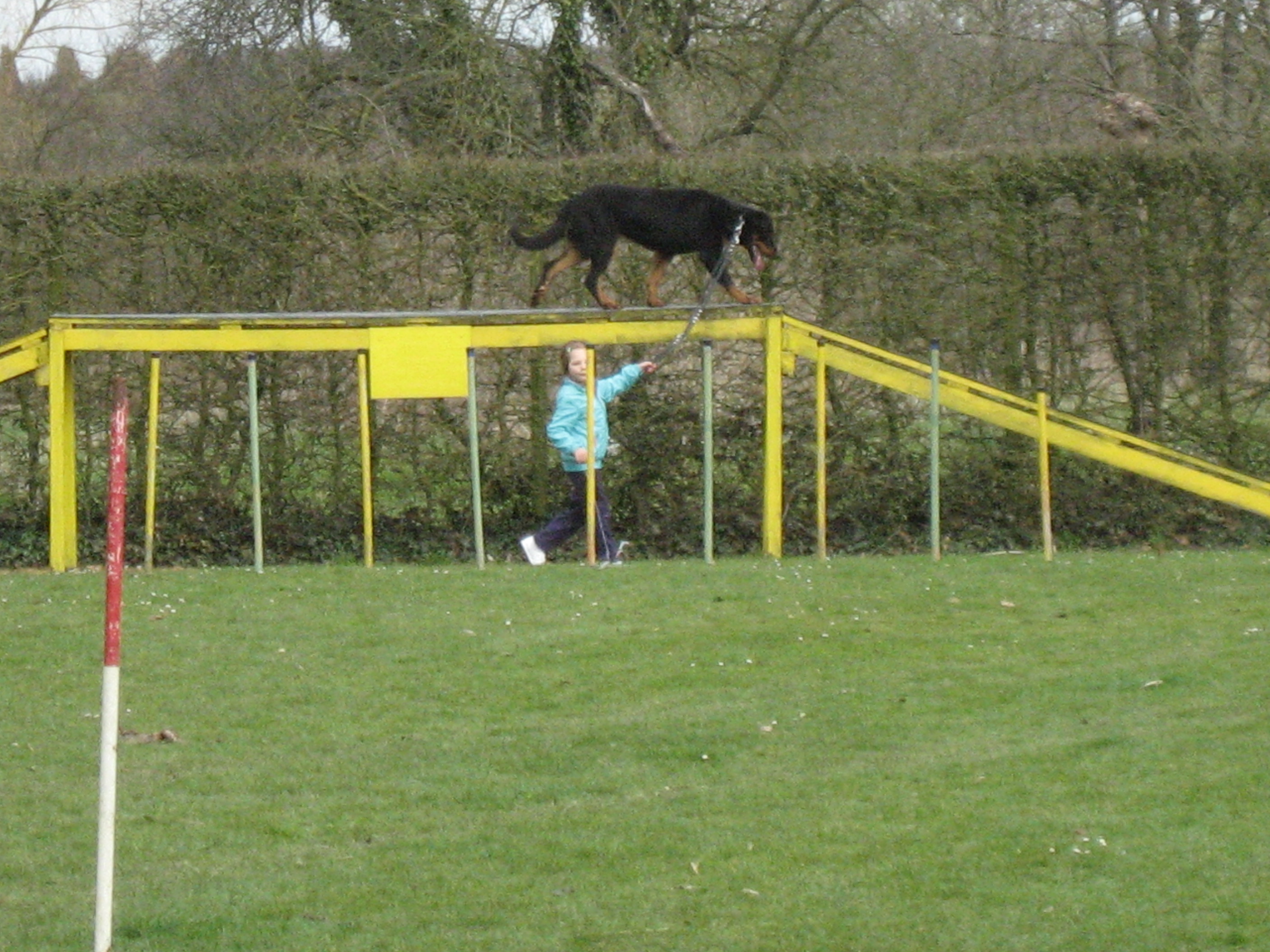bog 1